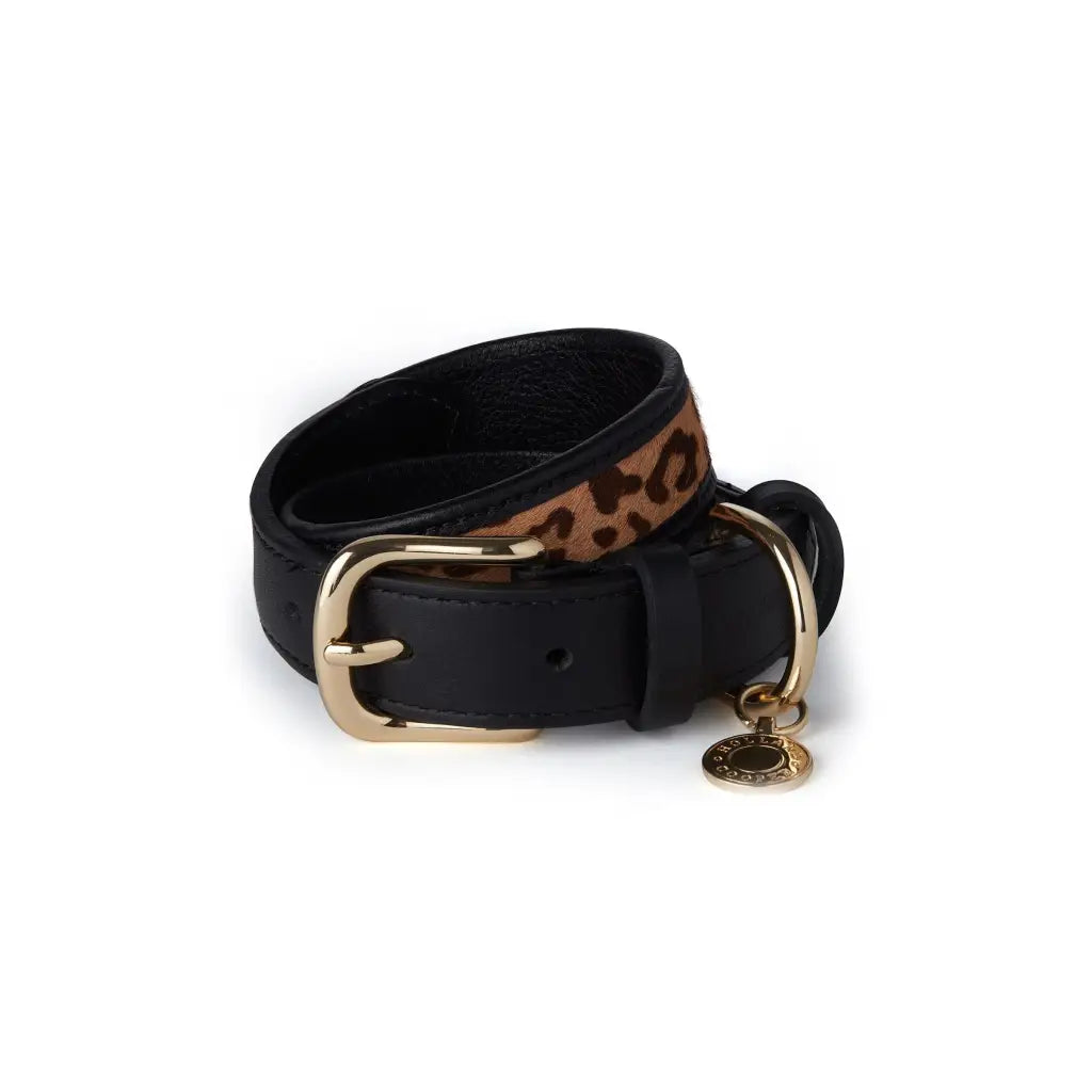 Classic Dog Collar - Black & Leopard Dog Accessories HOLLAND